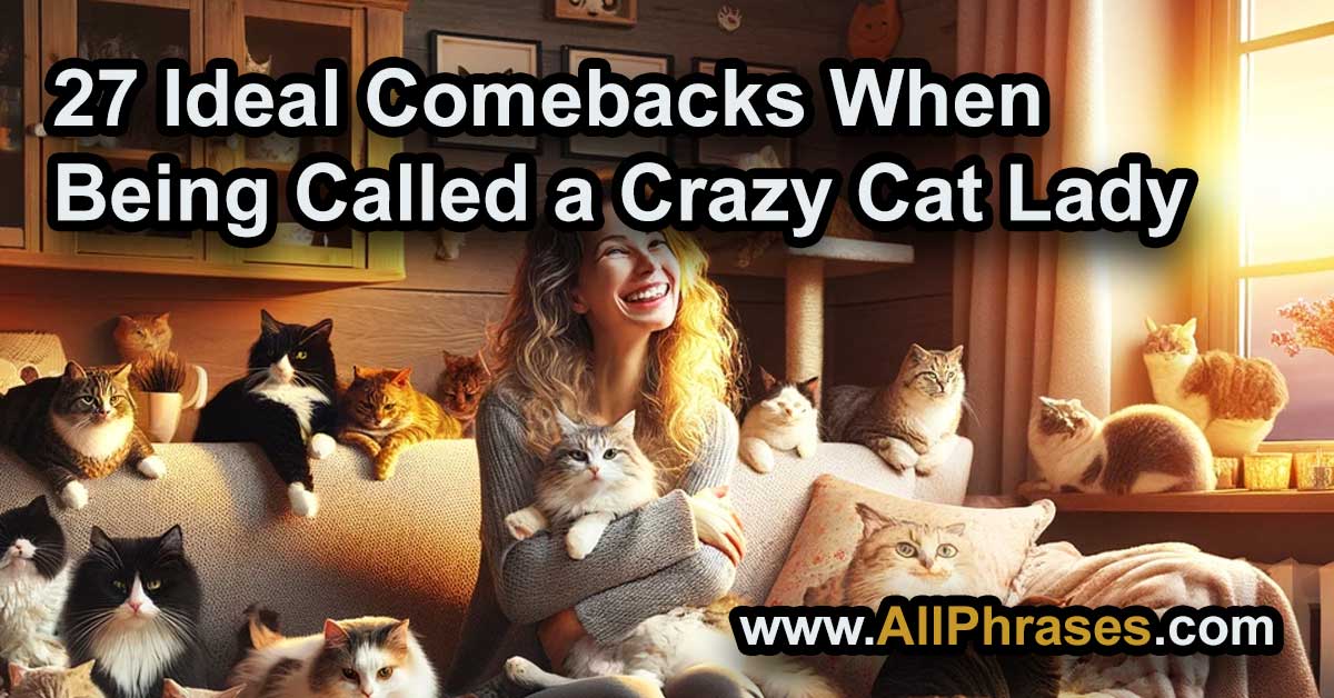 crazy cat lady comebacks